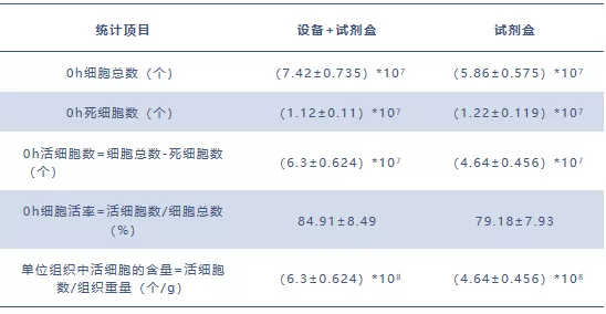 小鼠细胞